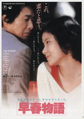 暗夜追踪 电影海报 HD国语